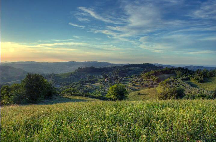 campagna di Lupo81