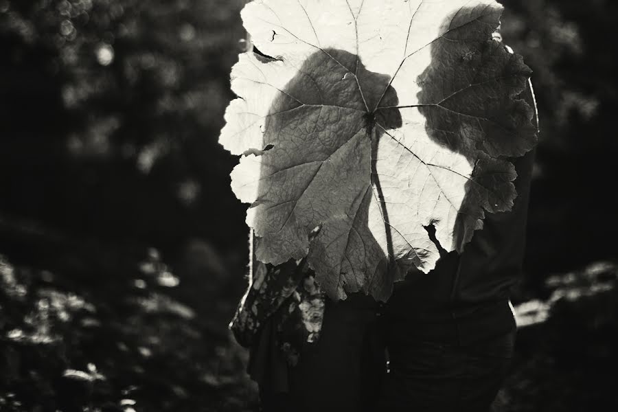 Photographe de mariage Yuliya Bahr (ulinea). Photo du 13 janvier 2013