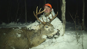 Saskatchewan Whitetails, Part 2 thumbnail