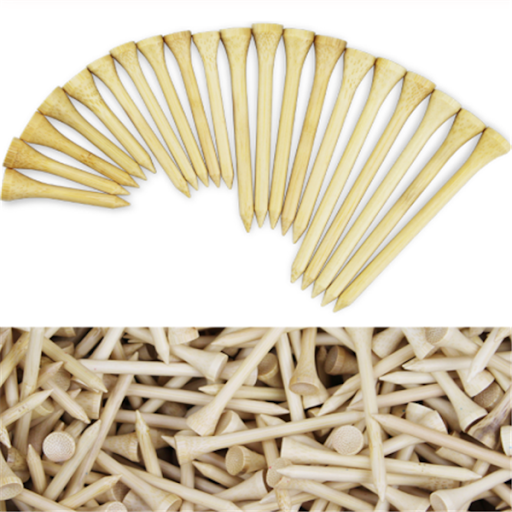 Title 1, 100 Bamboo nails for sustainable construction a...