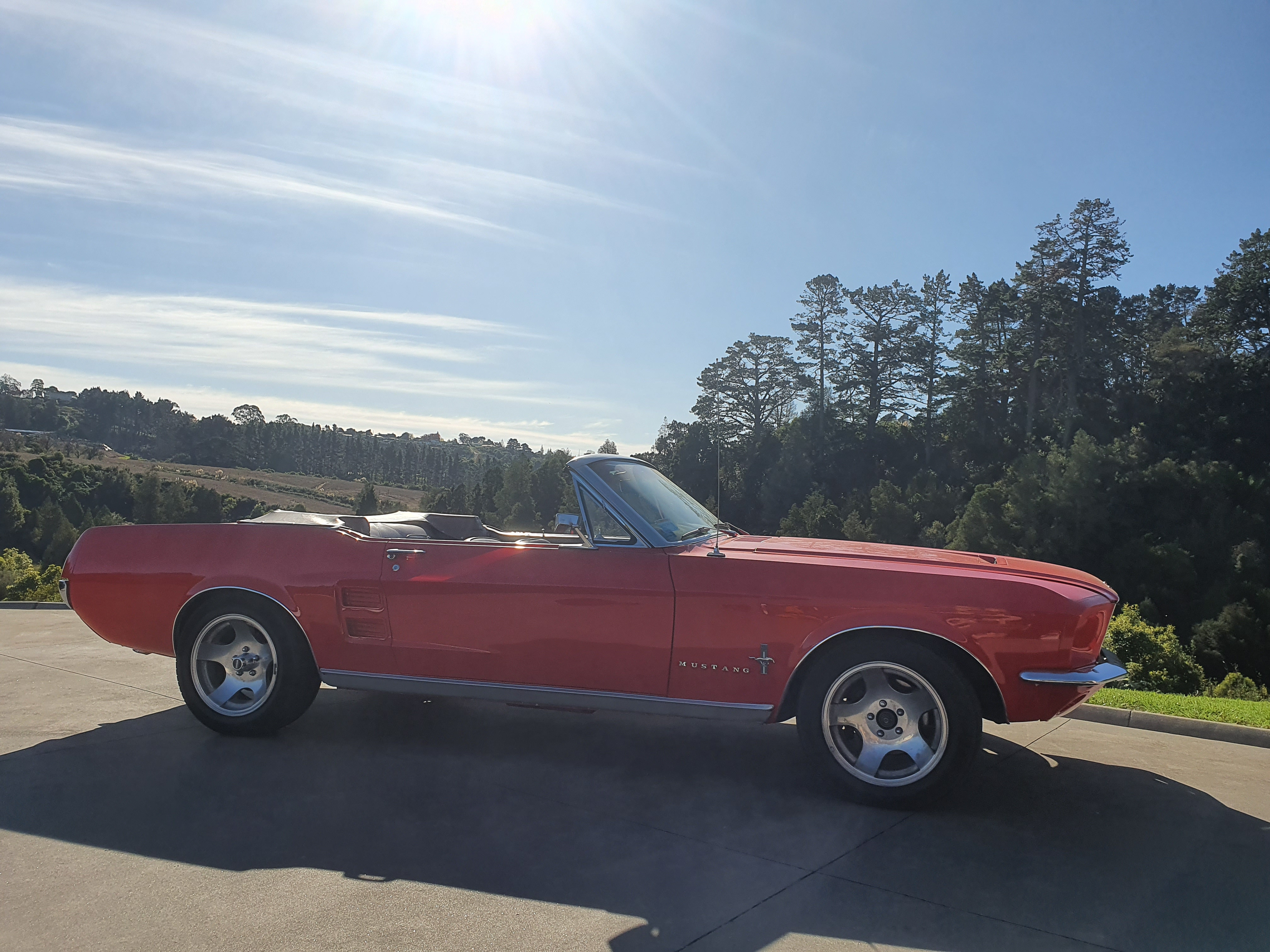 Ford Mustang 67 Convertible Hire Auckland