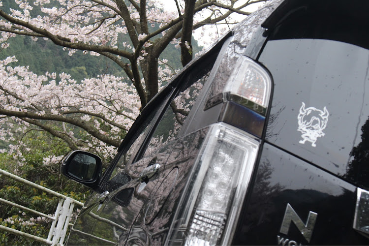 N-WGN カスタムの桜と愛車・桜・一眼レフ撮影・N-wgnカスタム・N-WGNに関するカスタム事例の投稿画像7枚目