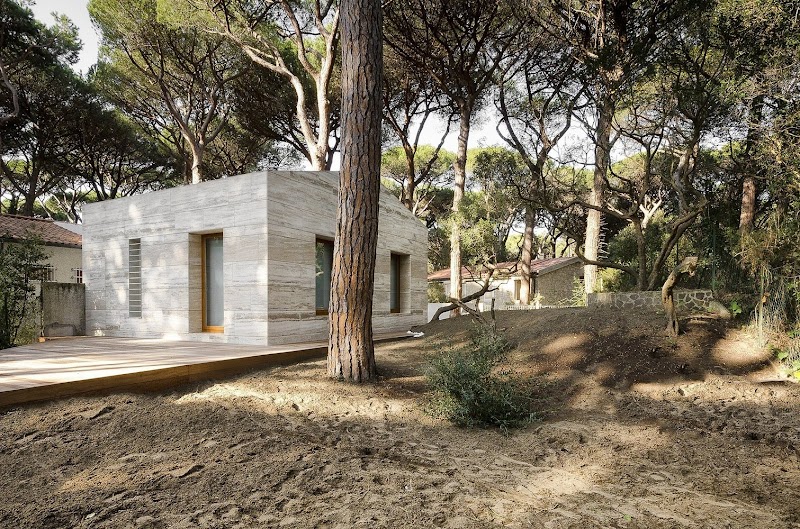 Casa in una Pineta - Massimo Fiorido Associati