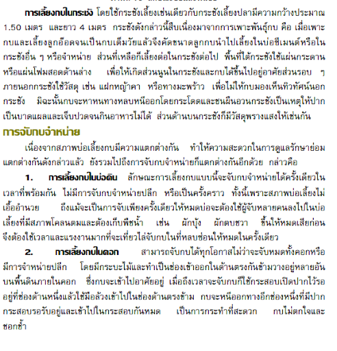 การเลี้ยงกบ