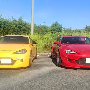 86 ZN6