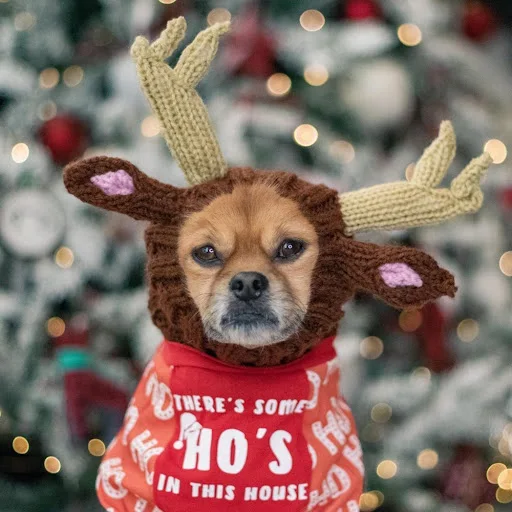 Quiet Ears for Dogs Pet Ear Muffs Noise Protection Knitted Dog Hats Pet Ears Warm Dog Ear Cover Winter Hat Dog Snood Hea