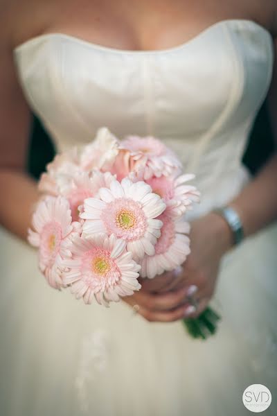 Photographe de mariage Sander Van Damme (sandervandamme). Photo du 17 avril 2019