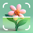 Bloomify - Plant Identifier icon