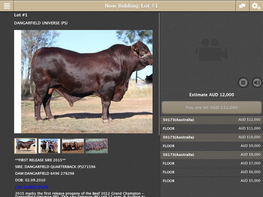 Elite Livestock Auctions