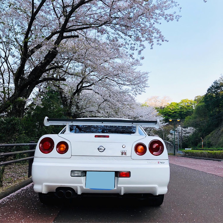 スカイライン GT-RのR34GT-R・ドライブ・スカイラインGT-R BNR34・桜コラボに関するカスタム事例の投稿画像2枚目