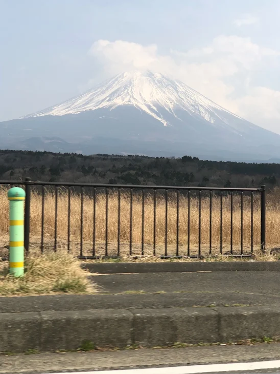 「ゆずの恋」のメインビジュアル