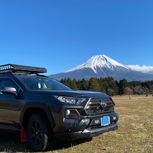 RAV4 MXAA54