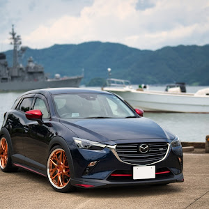 CX-3 DKEFW