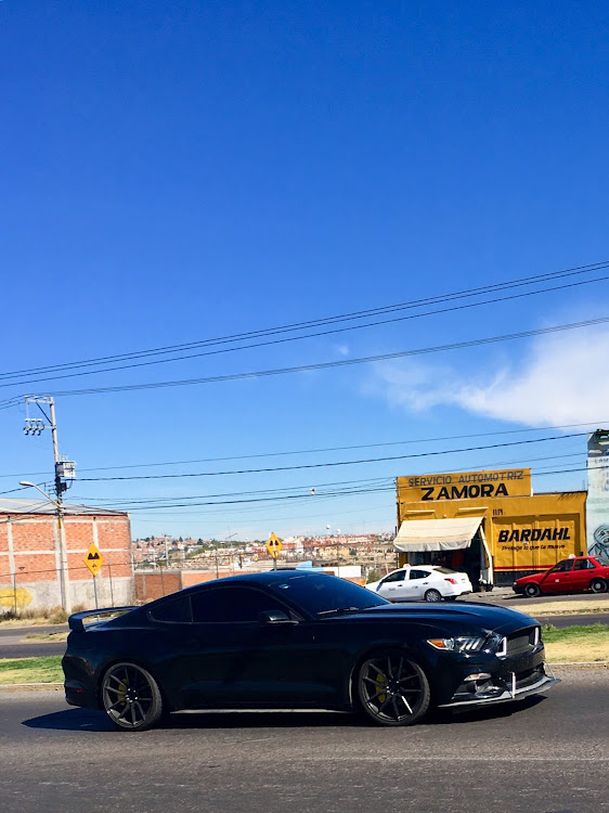 tuxedoさんが投稿したメキシコ・Mexico・ford・DODGE・IBIZAに関するカスタム事例の投稿画像10枚目