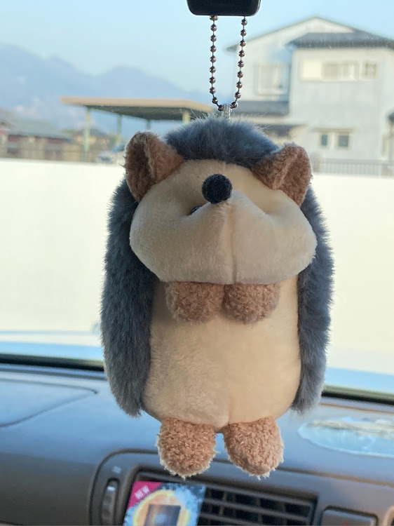 クラウンロイヤルのコロナが早く終息しますように・これからもずっとお友達でいてね・みんな大好き❤💕意😘^_^。・春だね🐈🧚‍♂️〜に関するカスタム事例の投稿画像1枚目