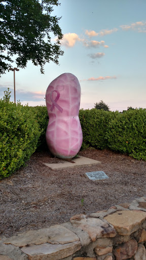 Breast Cancer Awareness Peanut