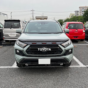 RAV4 MXAA54