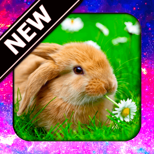 Cute Spring Wallpaper Apps On Google Play Images, Photos, Reviews