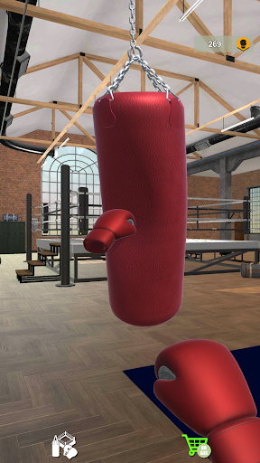 Screenshot Boxing Bag Simulator