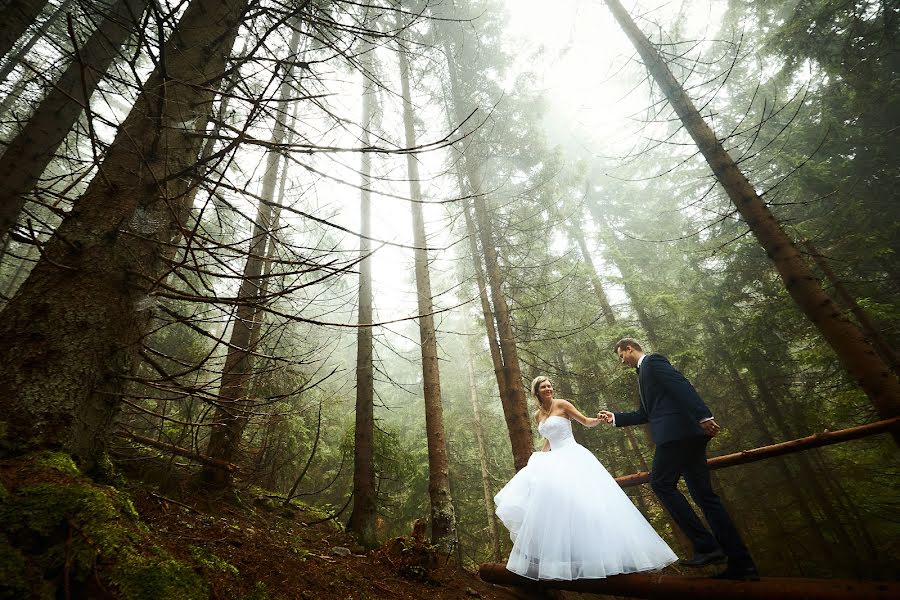 Fotografo di matrimoni Papp Csaba (csabapapp). Foto del 22 novembre 2022