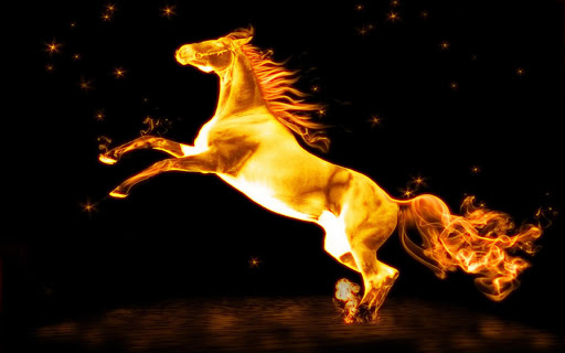 Horse Fire Live Wallpaper