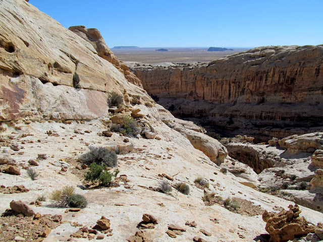 Looking into Wild Horse Canyon