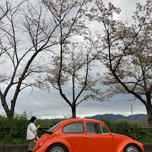 タイプⅠ　ビートル