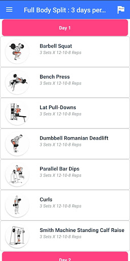 Gym Workout - Arsh Aesthetics