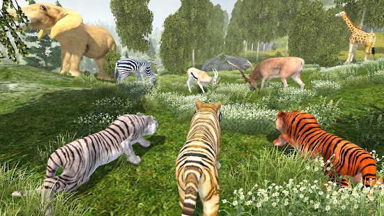 Wild Tiger Simulator 1.0 APK + Мод (Бесконечные деньги) за Android