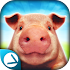 Pig Simulator1.1.2