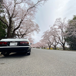 スプリンタートレノ AE86