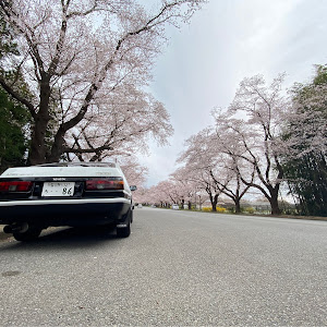 スプリンタートレノ AE86