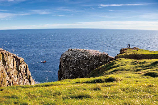 Cape-St-Marys-Ecological-Reserve.jpg - Visitors observe a dinghy at Cape St. Mary's Ecological Reserve on Avalon Peninsula, Newfoundland.