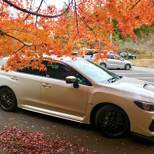 WRX STI VAB