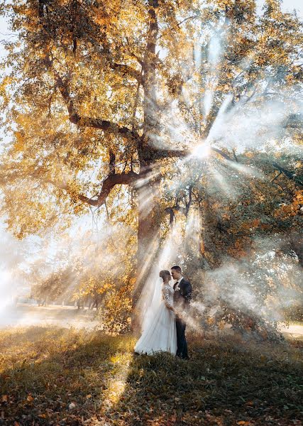 Fotógrafo de bodas Olga Nikolaeva (avrelkina). Foto del 2 de noviembre 2021