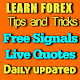 Forex Trading Free Signal Tips and Trick Tutorials Download on Windows