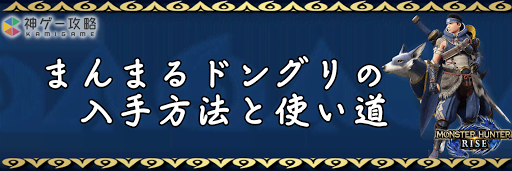 まんまるドングリ