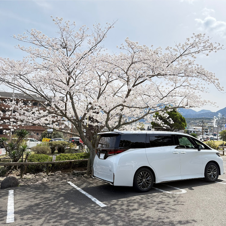 ヴェルファイアのヴェルファイア40系・サクラと愛車に関するカスタム事例の投稿画像4枚目