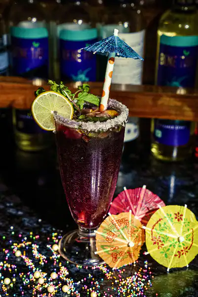 Blueberry Mojito