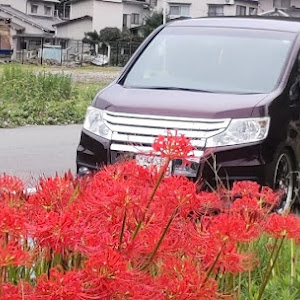 ステップワゴンスパーダ RK5