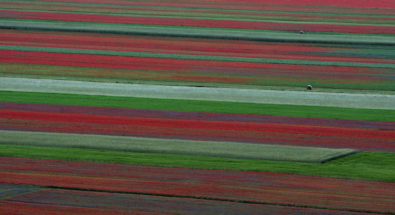 linee di colore di ruggeri alessandro