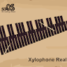 Xylophone Real: 2 mallet types icon