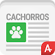 Download Cachorros Online For PC Windows and Mac 0.50