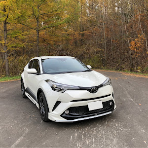 C-HR NGX50