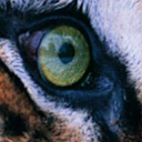 Tiger theme Chrome extension download
