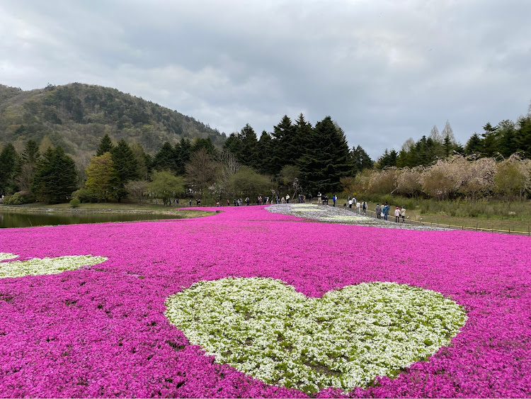 の投稿画像5枚目