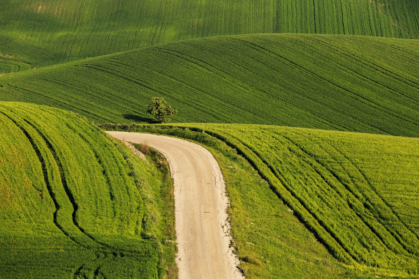 Ururi  di sandra tamasi