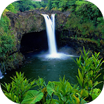 Cover Image of Download RainForest Sounds 1.4 APK