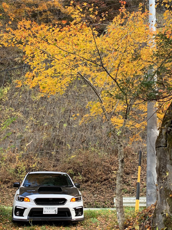 WRX S4の紅葉と愛車に関するカスタム事例の投稿画像2枚目