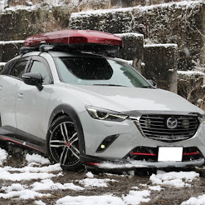 CX-3 DK5FW